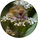 Jackie Marie profile picture